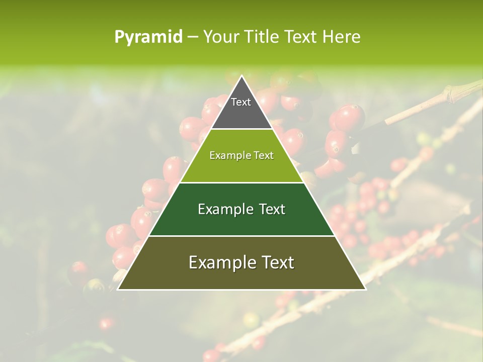 Philippines Nature Sand PowerPoint Template