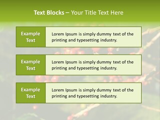 Philippines Nature Sand PowerPoint Template