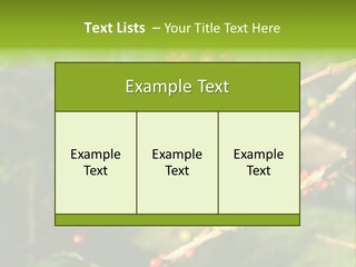 Philippines Nature Sand PowerPoint Template