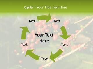 Philippines Nature Sand PowerPoint Template