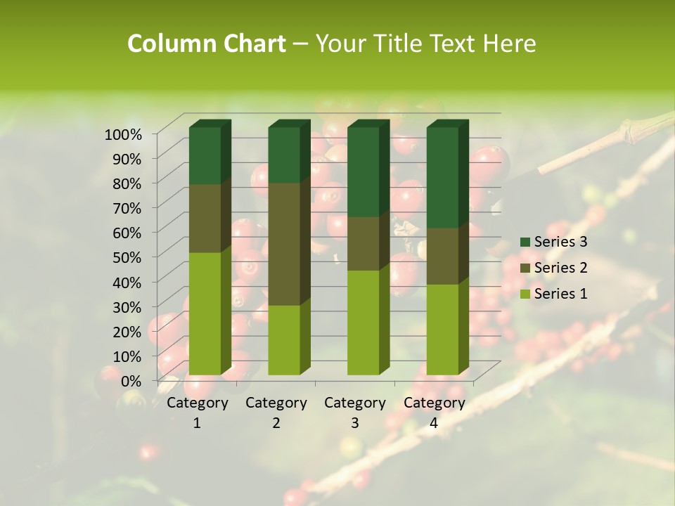 Philippines Nature Sand PowerPoint Template
