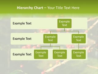 Philippines Nature Sand PowerPoint Template