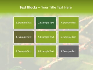 Philippines Nature Sand PowerPoint Template