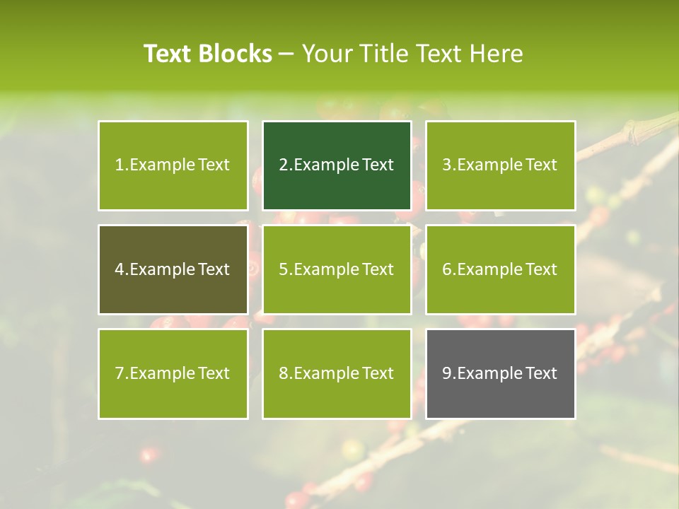 Philippines Nature Sand PowerPoint Template