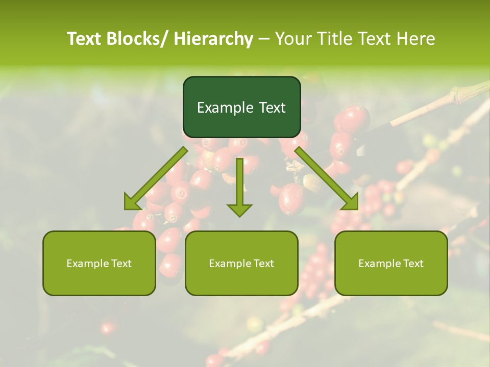 Philippines Nature Sand PowerPoint Template