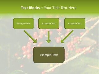 Philippines Nature Sand PowerPoint Template
