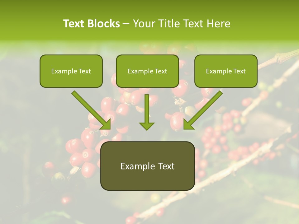 Philippines Nature Sand PowerPoint Template
