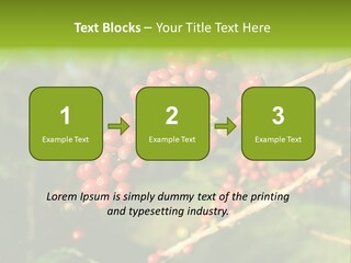 Philippines Nature Sand PowerPoint Template