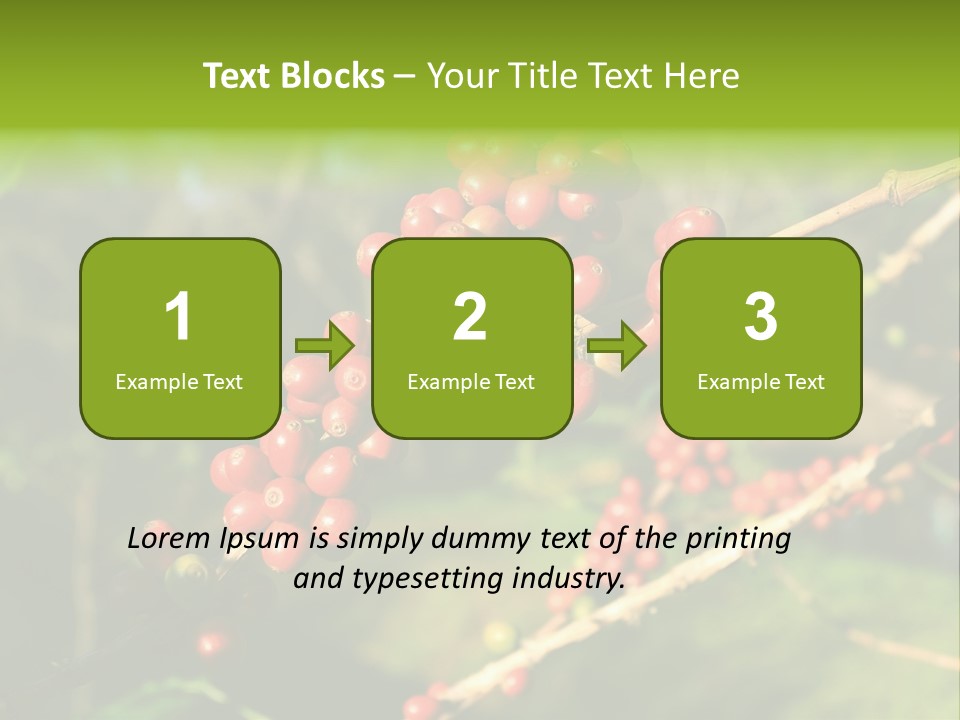 Philippines Nature Sand PowerPoint Template