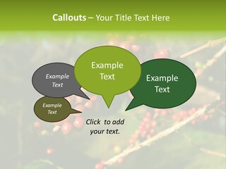 Philippines Nature Sand PowerPoint Template