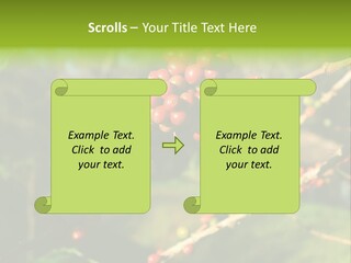 Philippines Nature Sand PowerPoint Template