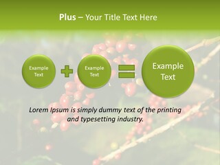 Philippines Nature Sand PowerPoint Template