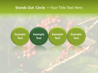 Philippines Nature Sand PowerPoint Template