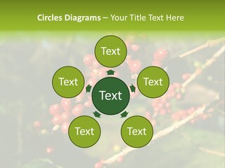 Philippines Nature Sand PowerPoint Template