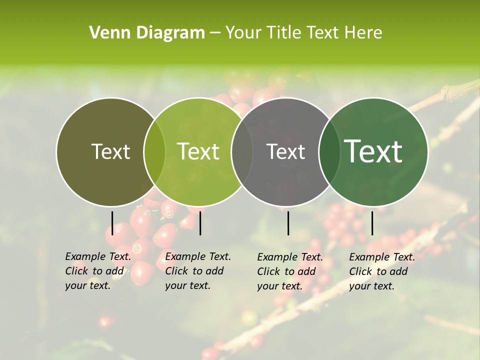 Philippines Nature Sand PowerPoint Template