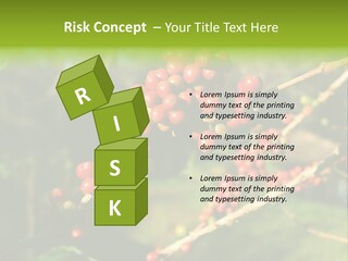 Philippines Nature Sand PowerPoint Template