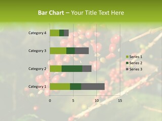 Philippines Nature Sand PowerPoint Template