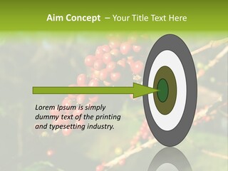 Philippines Nature Sand PowerPoint Template