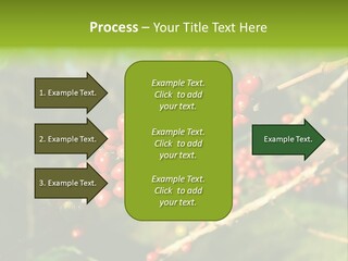 Philippines Nature Sand PowerPoint Template
