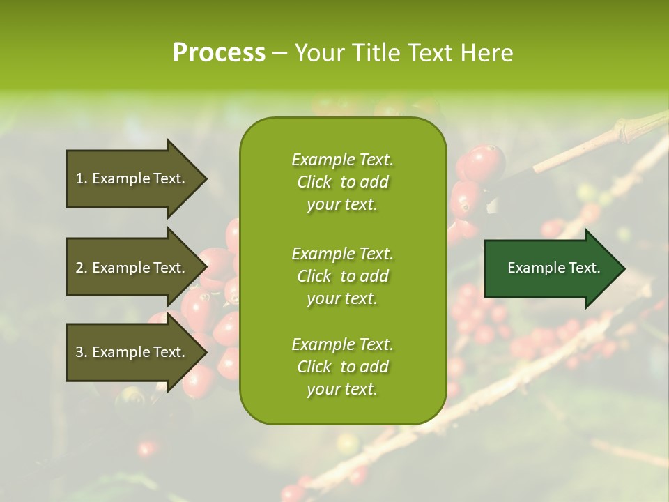 Philippines Nature Sand PowerPoint Template