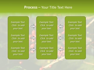 Philippines Nature Sand PowerPoint Template