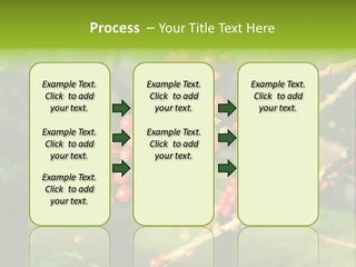 Philippines Nature Sand PowerPoint Template