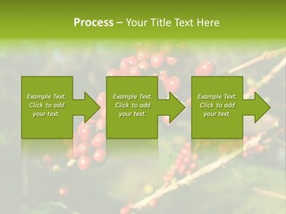 Philippines Nature Sand PowerPoint Template