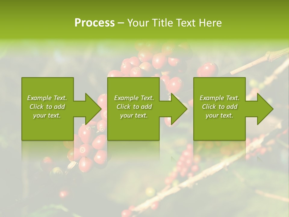 Philippines Nature Sand PowerPoint Template