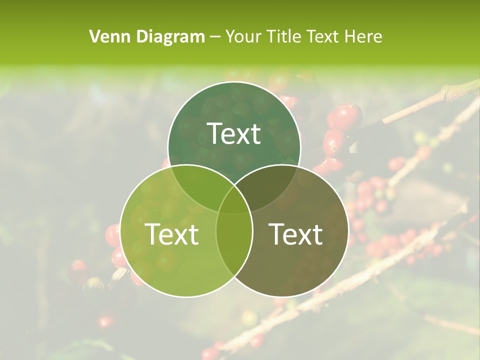 Philippines Nature Sand PowerPoint Template