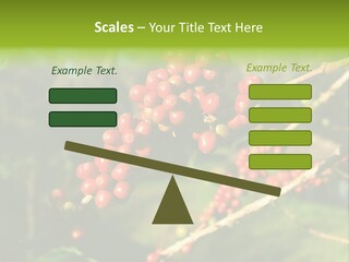 Philippines Nature Sand PowerPoint Template