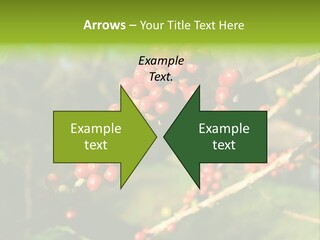 Philippines Nature Sand PowerPoint Template