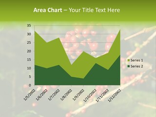 Philippines Nature Sand PowerPoint Template