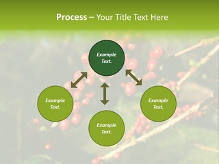 Philippines Nature Sand PowerPoint Template