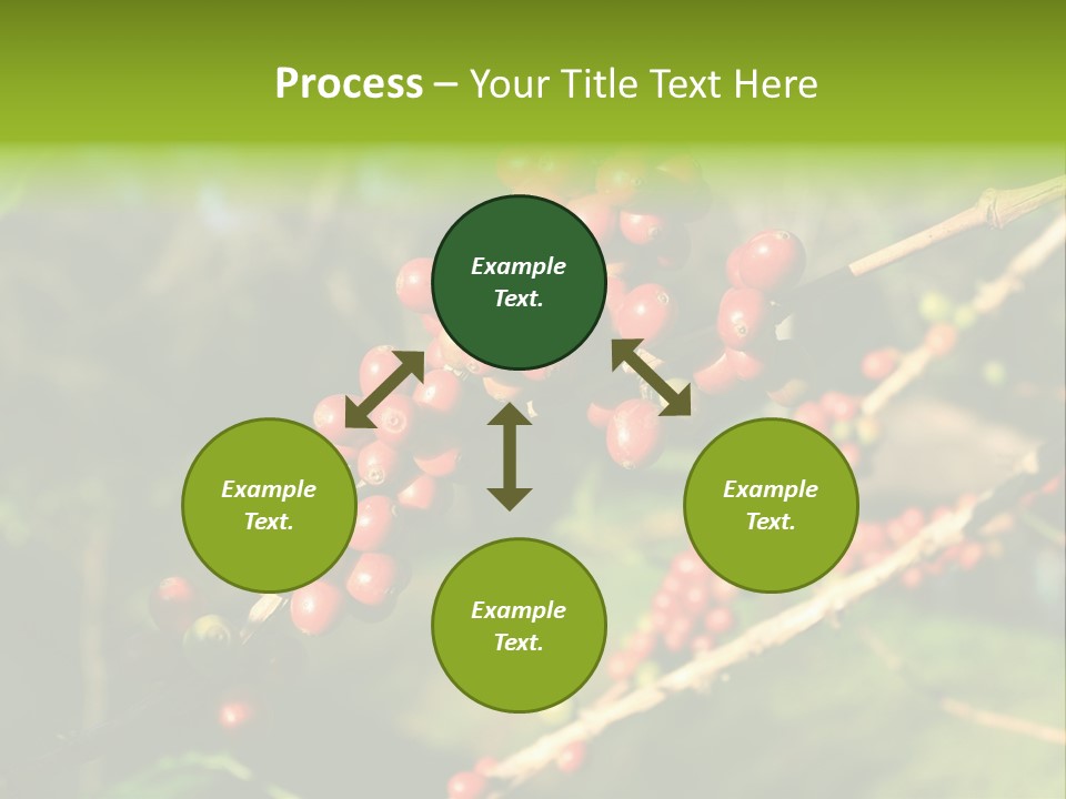 Philippines Nature Sand PowerPoint Template