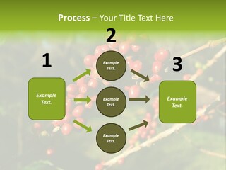 Philippines Nature Sand PowerPoint Template