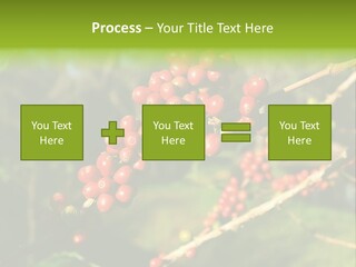 Philippines Nature Sand PowerPoint Template