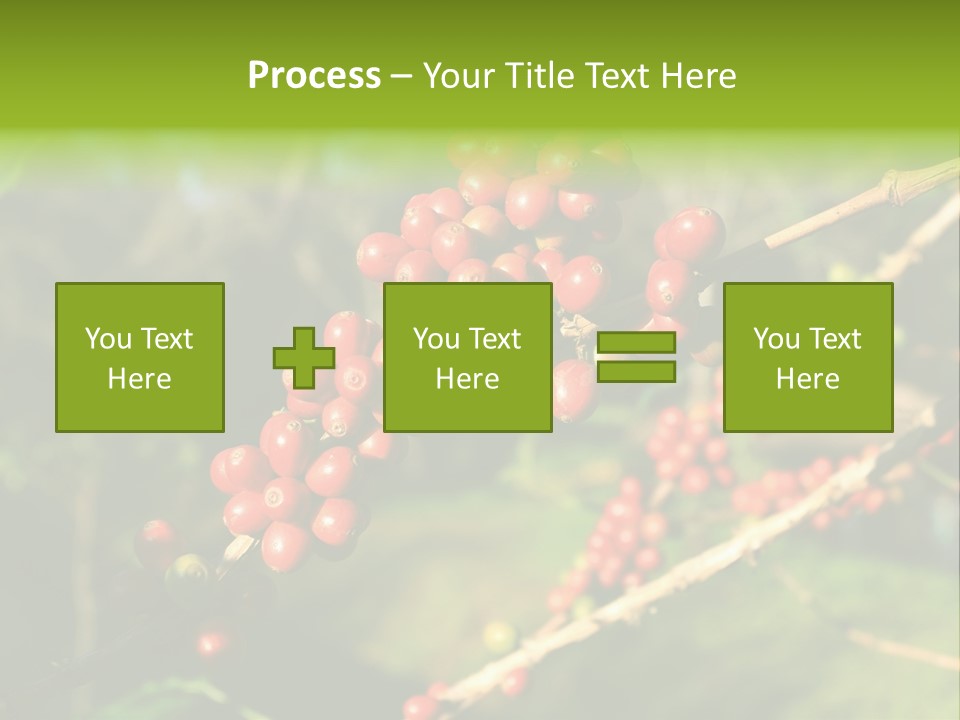 Philippines Nature Sand PowerPoint Template