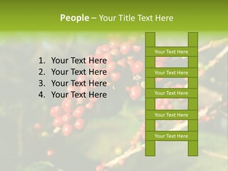 Philippines Nature Sand PowerPoint Template