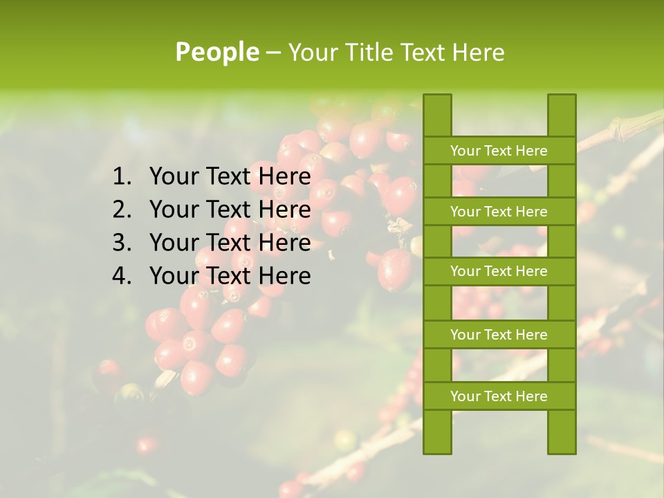 Philippines Nature Sand PowerPoint Template