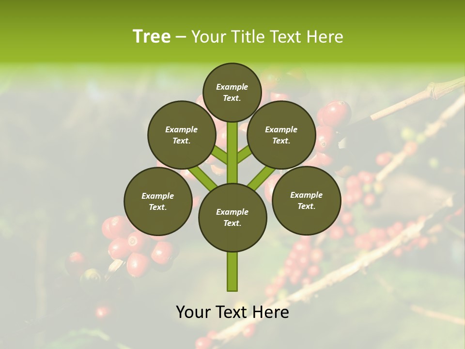 Philippines Nature Sand PowerPoint Template