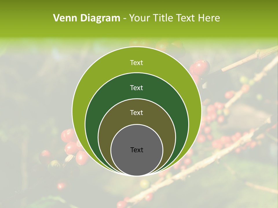 Philippines Nature Sand PowerPoint Template