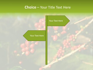 Philippines Nature Sand PowerPoint Template