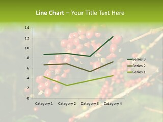 Philippines Nature Sand PowerPoint Template