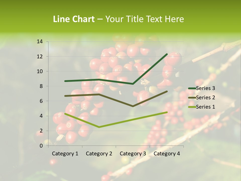 Philippines Nature Sand PowerPoint Template