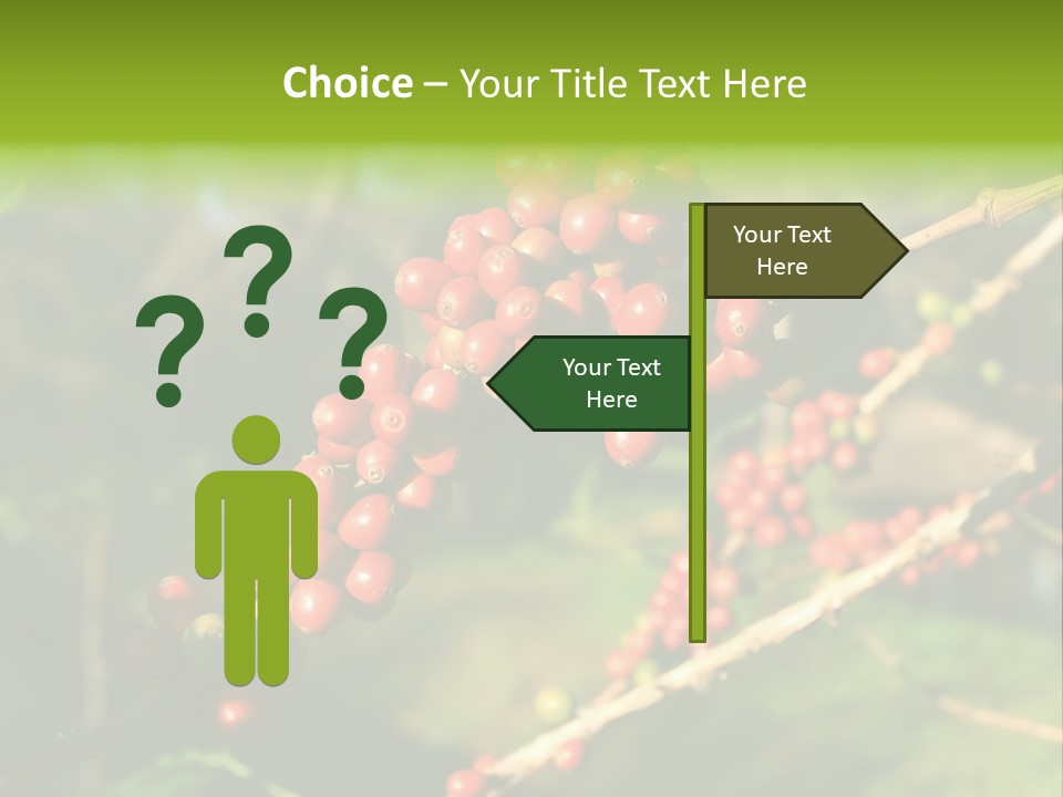 Philippines Nature Sand PowerPoint Template