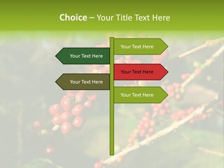 Philippines Nature Sand PowerPoint Template