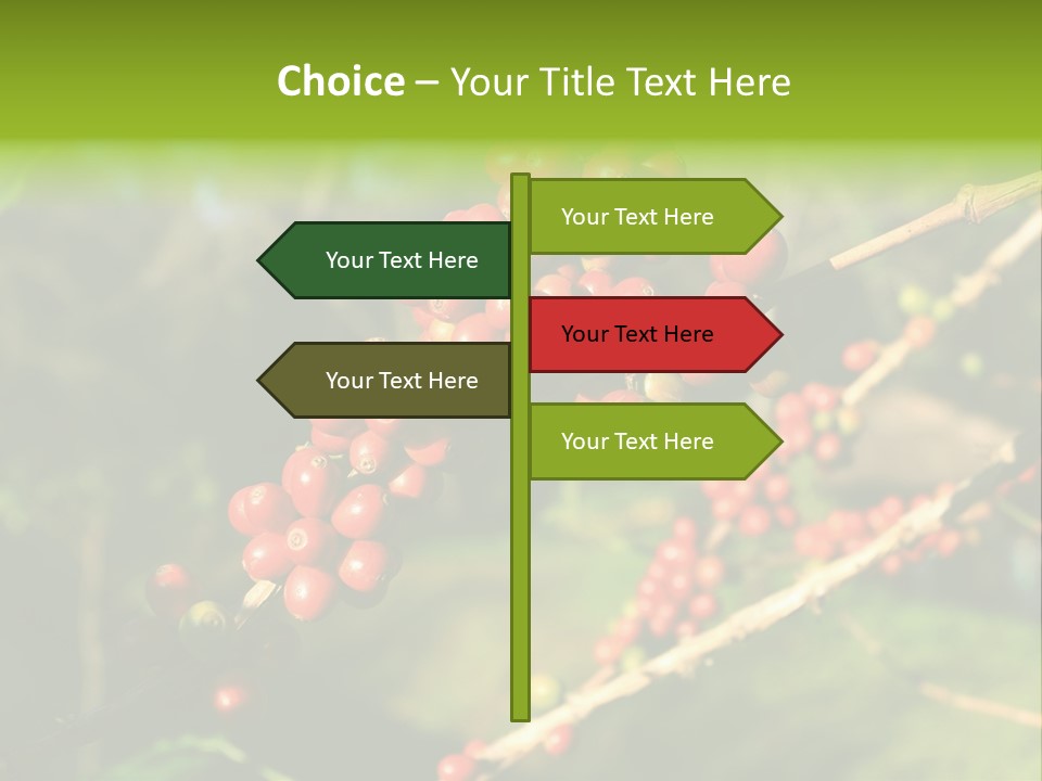 Philippines Nature Sand PowerPoint Template