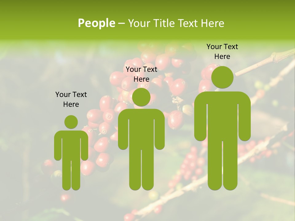 Philippines Nature Sand PowerPoint Template