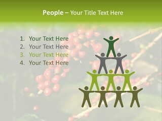 Philippines Nature Sand PowerPoint Template