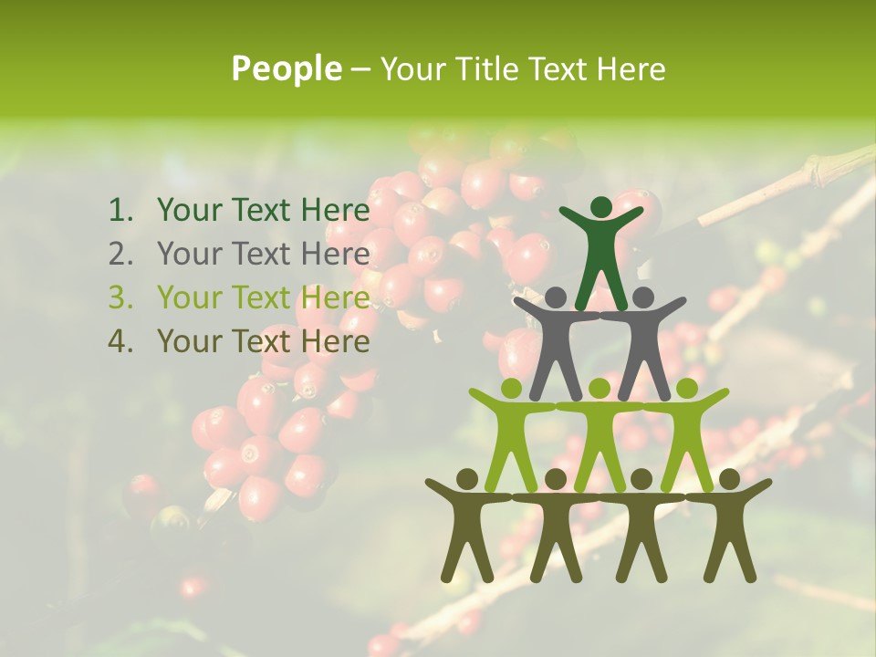 Philippines Nature Sand PowerPoint Template